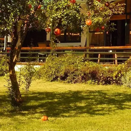 Trogirsunset - Since 2000 Apartman *