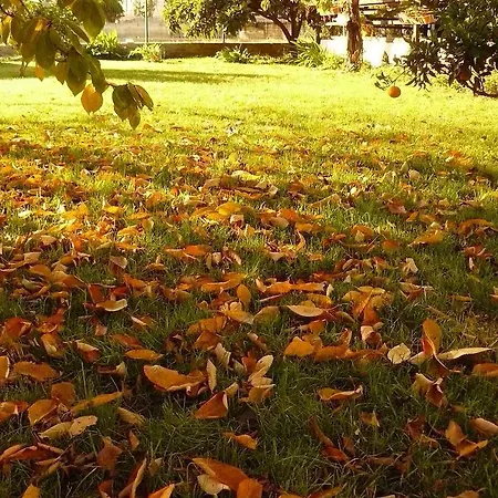 דירה Trogirsunset - Since 2000 טרוגיר