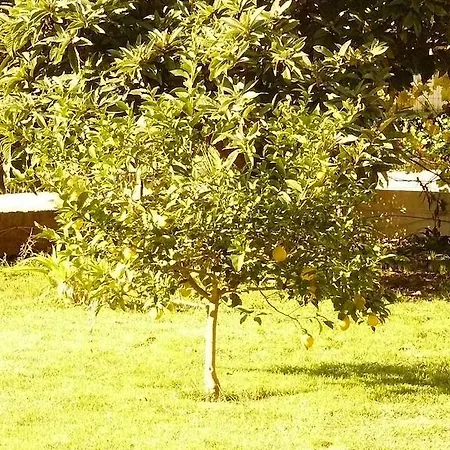 Trogirsunset - Since 2000 טרוגיר