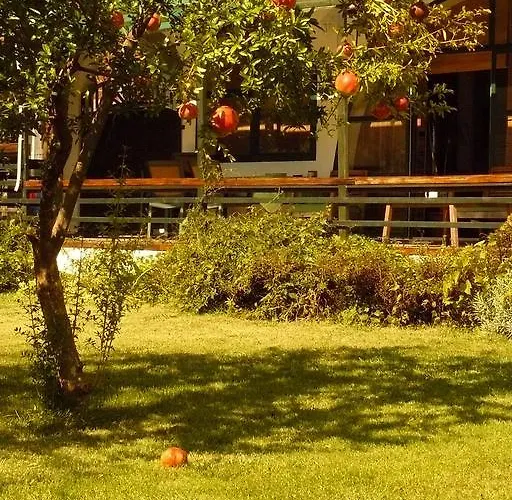 Trogirsunset - Since 2000 Appartement *