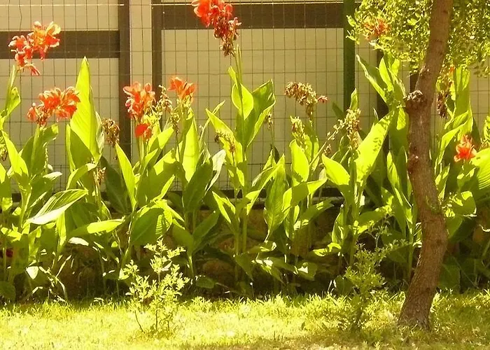 Trogirsunset - Since 2000 Appartement *