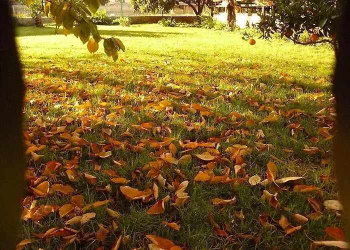 Apartmán Trogirsunset - Since 2000 Trogir