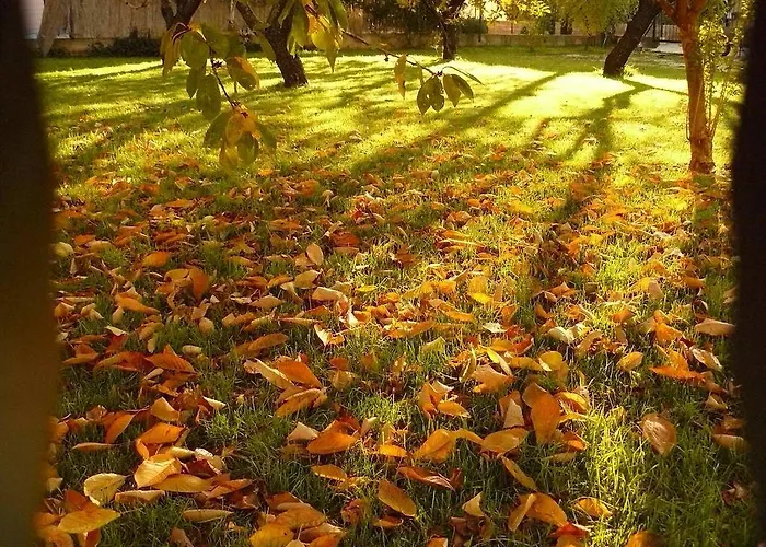 Trogirsunset - Since 2000