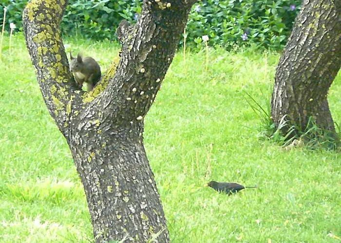 Trogirsunset - Since 2000 Trogir