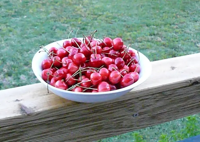 Trogirsunset - Since 2000 Trogir