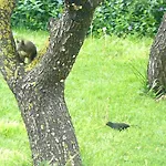 Trogirsunset Trogir