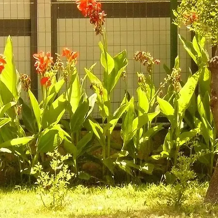 Trogirsunset - Since 2000 公寓 *