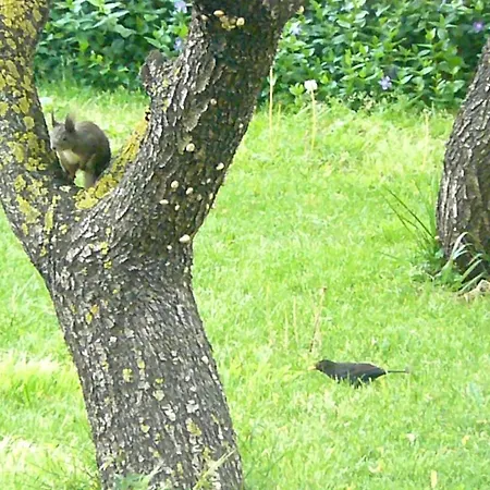 Trogirsunset - Since 2000 特罗吉尔