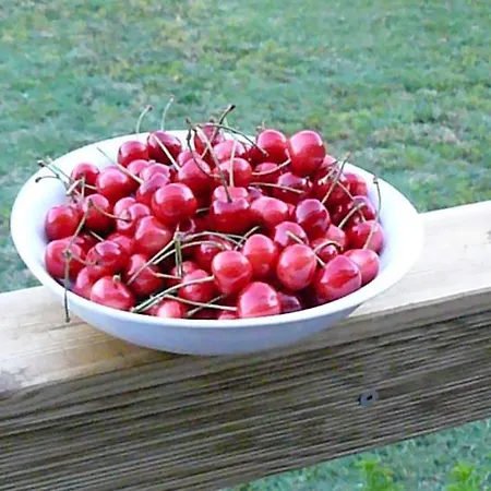 Trogirsunset - Since 2000 特罗吉尔