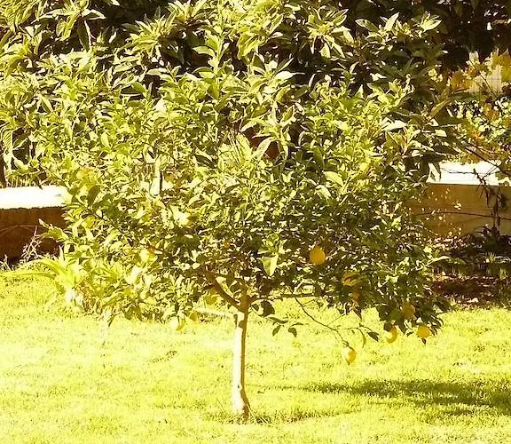 Trogirsunset - Since 2000 特罗吉尔